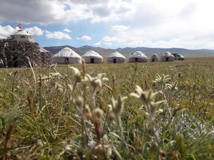 Gallery image of Yurt camp Aitbek in Song-Kul