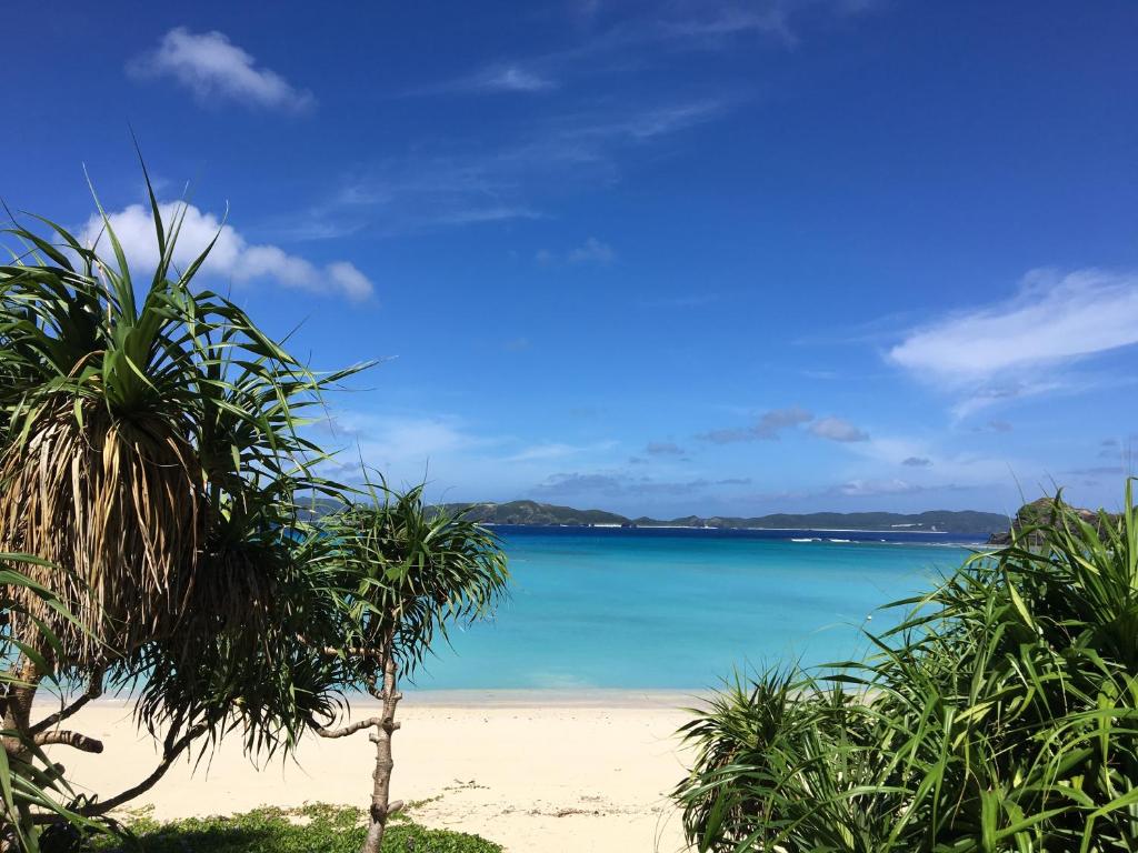 a beach with a palm tree and the ocean at HOTEL KANALOA in Tokashiki