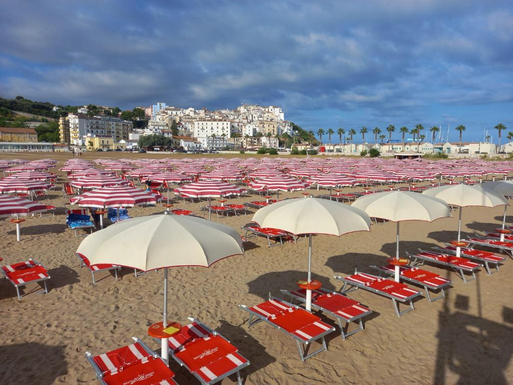 Spiaggia vicina o nei dintorni dell'hotel