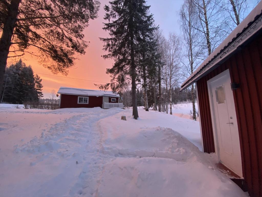 a snow covered yard next to a house with a building at Stuga Bergvik in Gällö