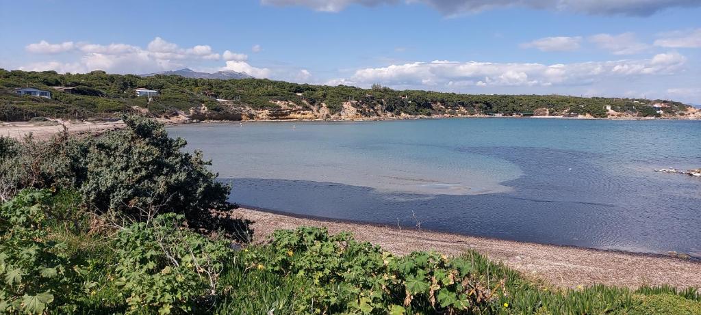 duży zbiornik wody z plażą i drzewami w obiekcie Edem w mieście Áyios Spirídhon