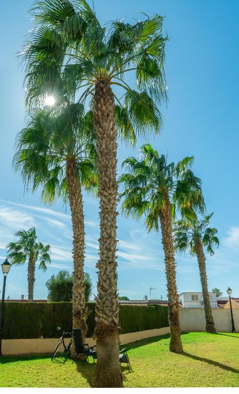 Vonkajšia záhrada v ubytovaní Club Salino Hideaway-Your Peaceful Retreat with Pool in Torrevieja