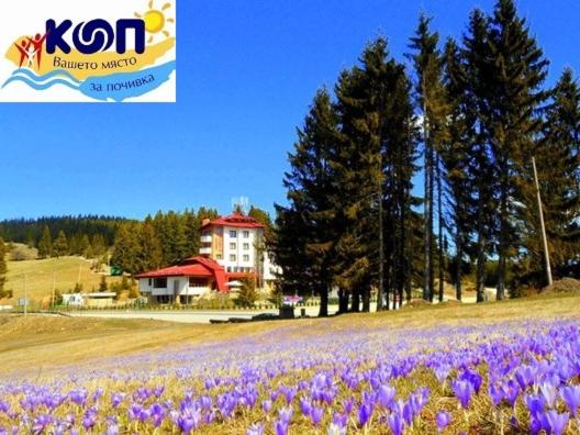 a field of purple flowers in front of a house at Hotel Coop Rozhen in Pamporovo