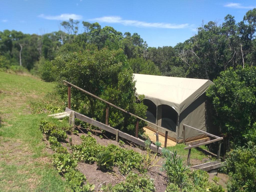 Wilderness Glamping Tents - Image 29