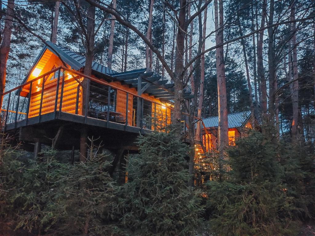 KamionkaにあるCyziówkaの森の中の木の家