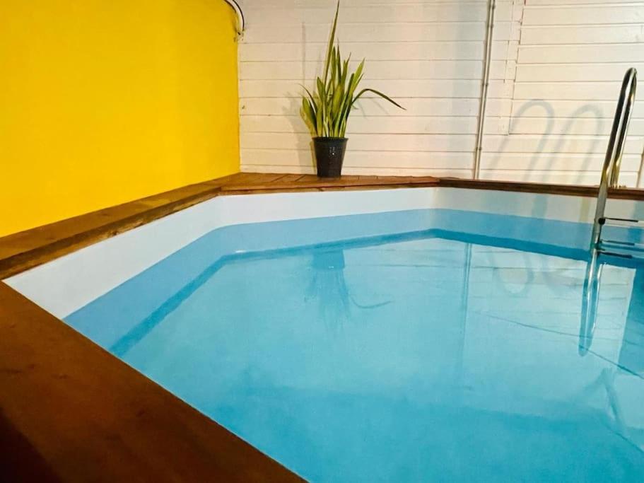 Der Swimmingpool an oder in der N&auml;he von Myosotis, charmant logement central avec piscine priv&eacute;e, wifi et parking gratuit