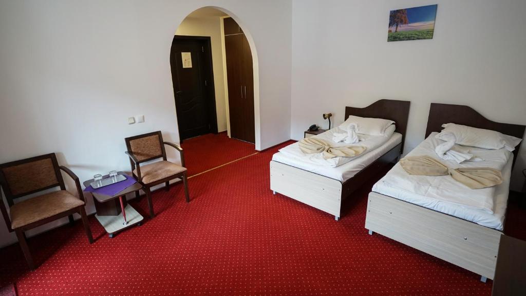 Vila Trandafirul si Liliacul - Chambre Double