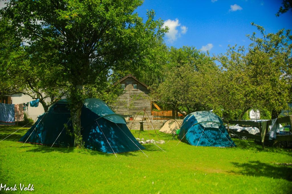 Zahrada ubytování DS Camping