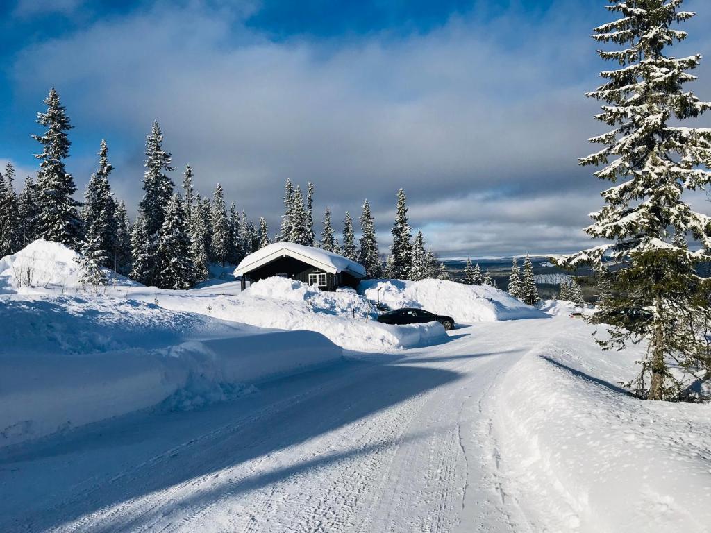 a snow covered road with a cabin and a tree at Hytta for 8 personer skiut/inn in Trysil