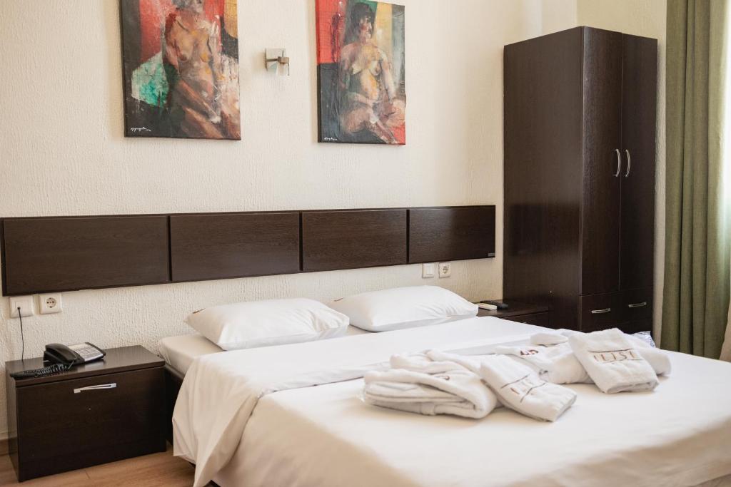 Hotel Ilisia - Resim 20