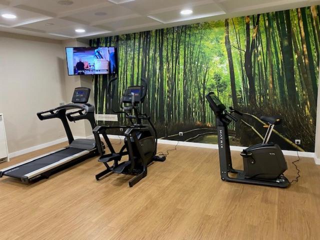 Fitness centrum a/nebo fitness zařízení v ubytování Silken Turcosa