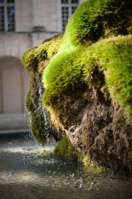 Hôtel Cloitre Saint Louis Avignon - Resim 19