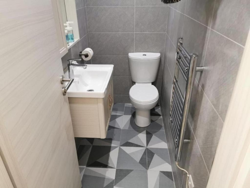 La petite salle de bains est pourvue de toilettes et d'un lavabo. dans l'établissement Budget Central Serviced Studio Apartment, à Sunderland