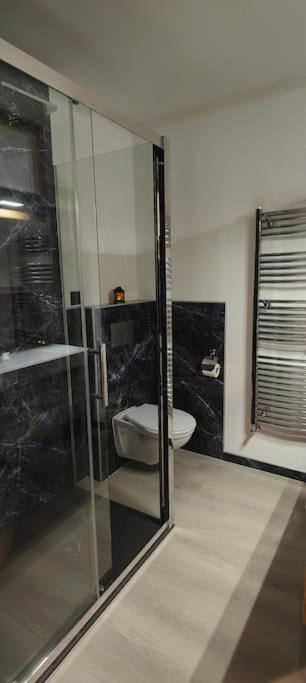 Vannituba majutusasutuses Logement Premium à Salins
