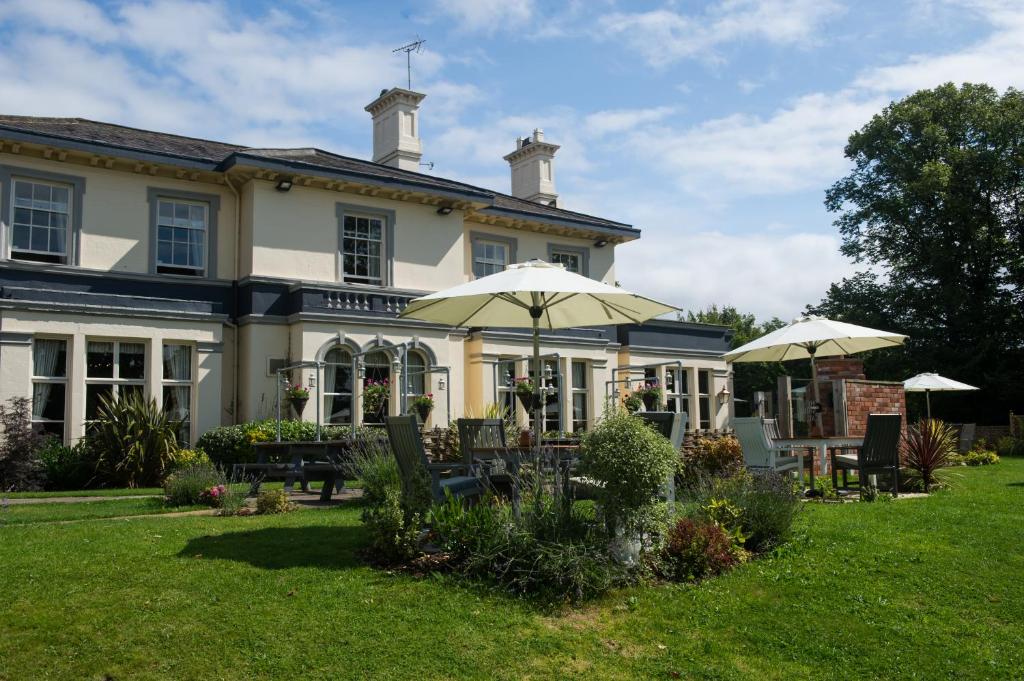 The Cheshire Cat by Innkeeper's Collection - Resim 5