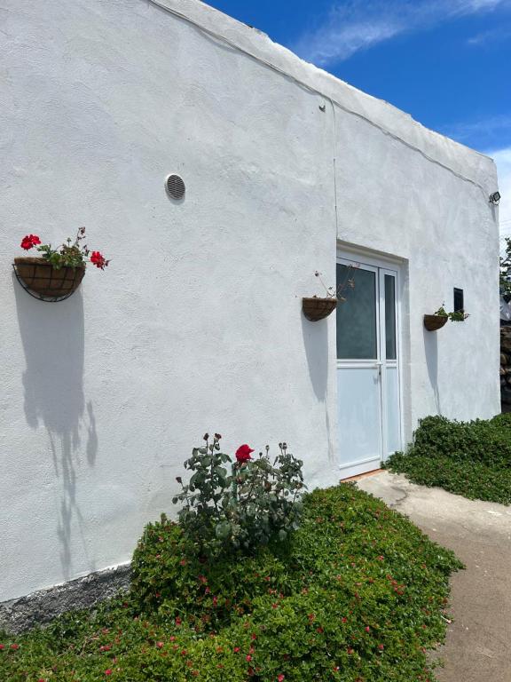 Casa Rural El Pasil في أرونا: مبنى ابيض مع قدور ورد وباب