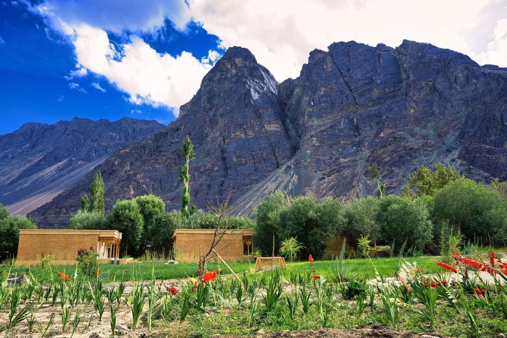 a view of mountains with a field of flowers at La Shayok Resort in Nubra