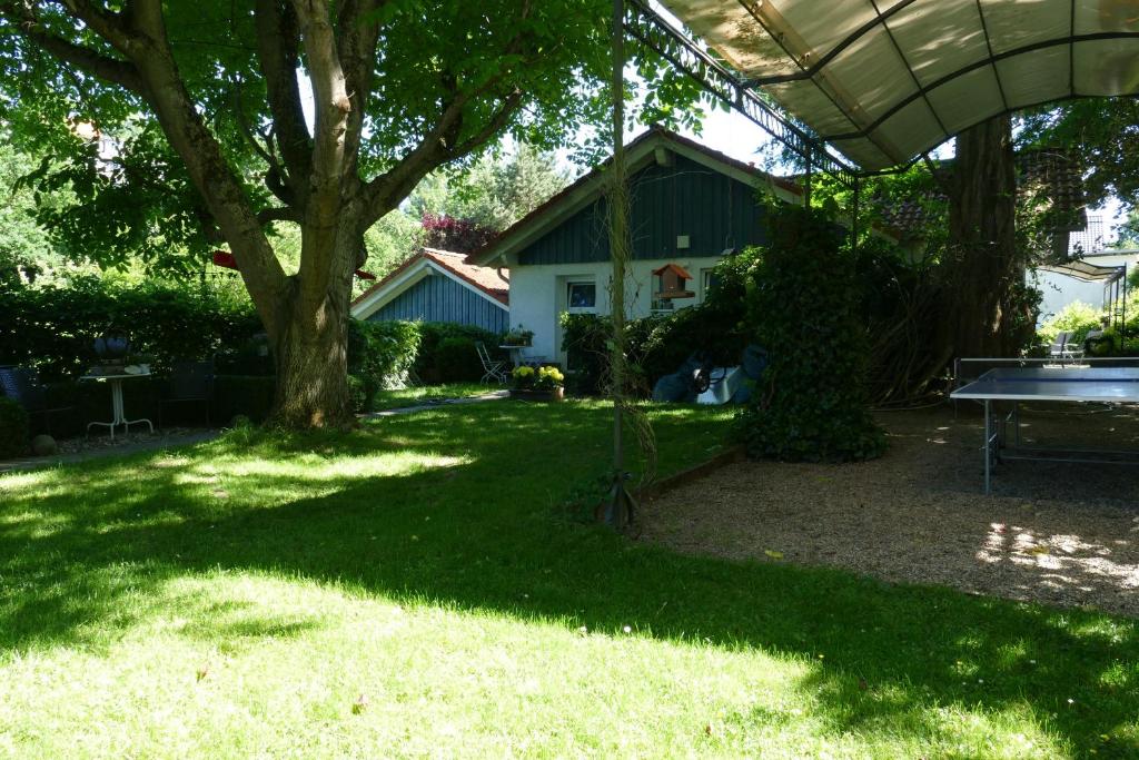 a yard with a picnic table and a tree at Ferienhaus 2 in Fritzlar