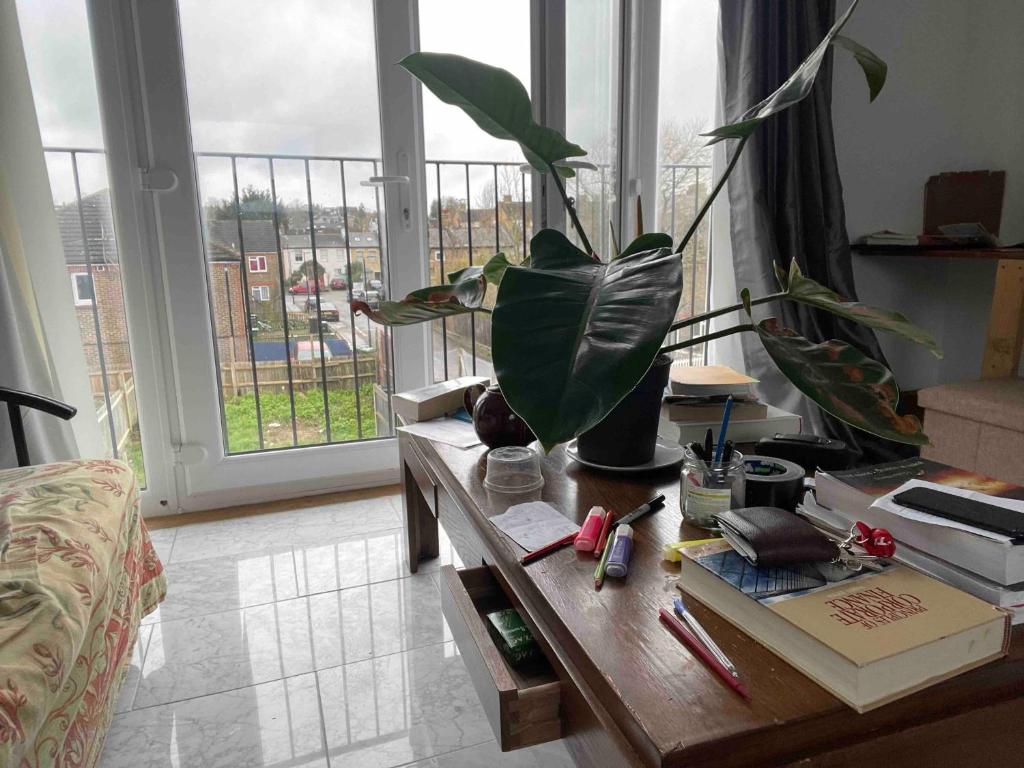 una sala de estar con una mesa con una planta en Large ensuite room in Dulwich (Gipsy Hill) en West Dulwich