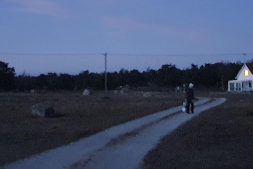 Hosté ubytování Fantastiskt hus på fårö