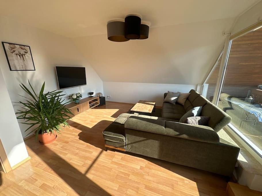 a living room with a couch and a tv at Sonniges & ruhiges Apartment mit Balkon nahe Berlin in Zeuthen