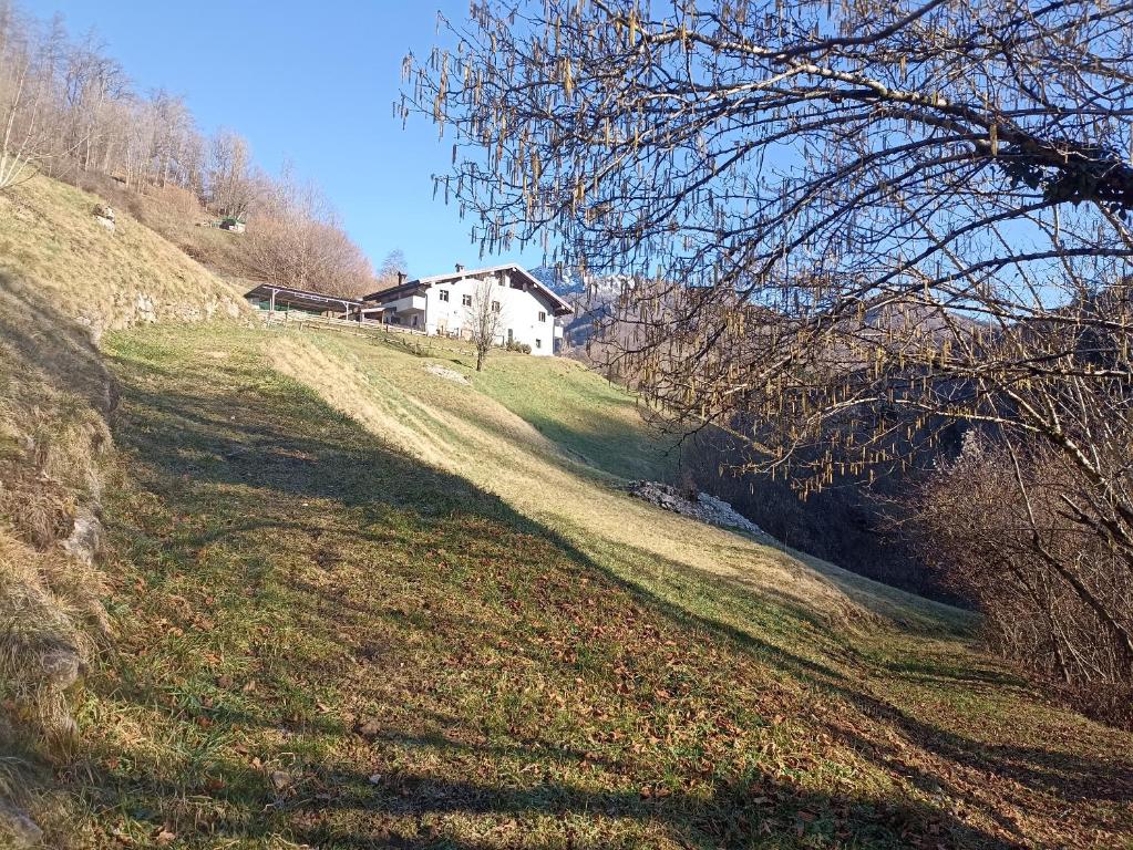 a house on the side of a grassy hill at Agriturismo Cascina Cornella in Cremeno