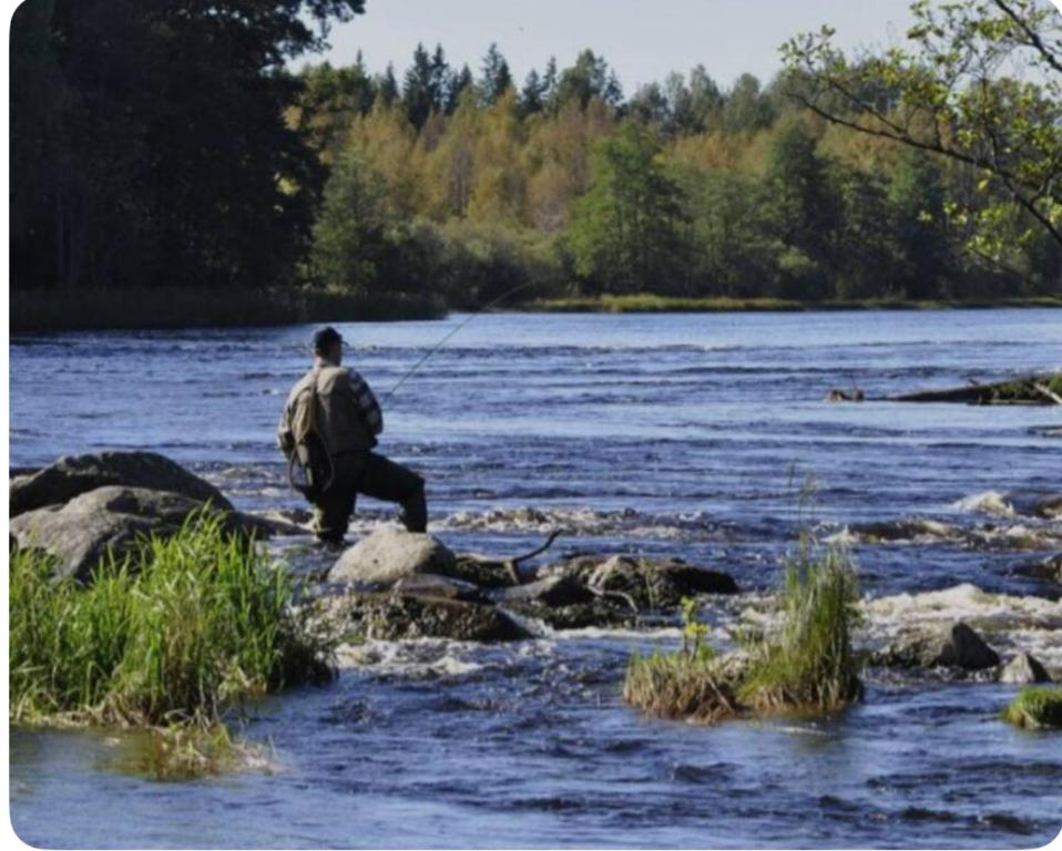 Loodusmaastik puhkemaja lähedal