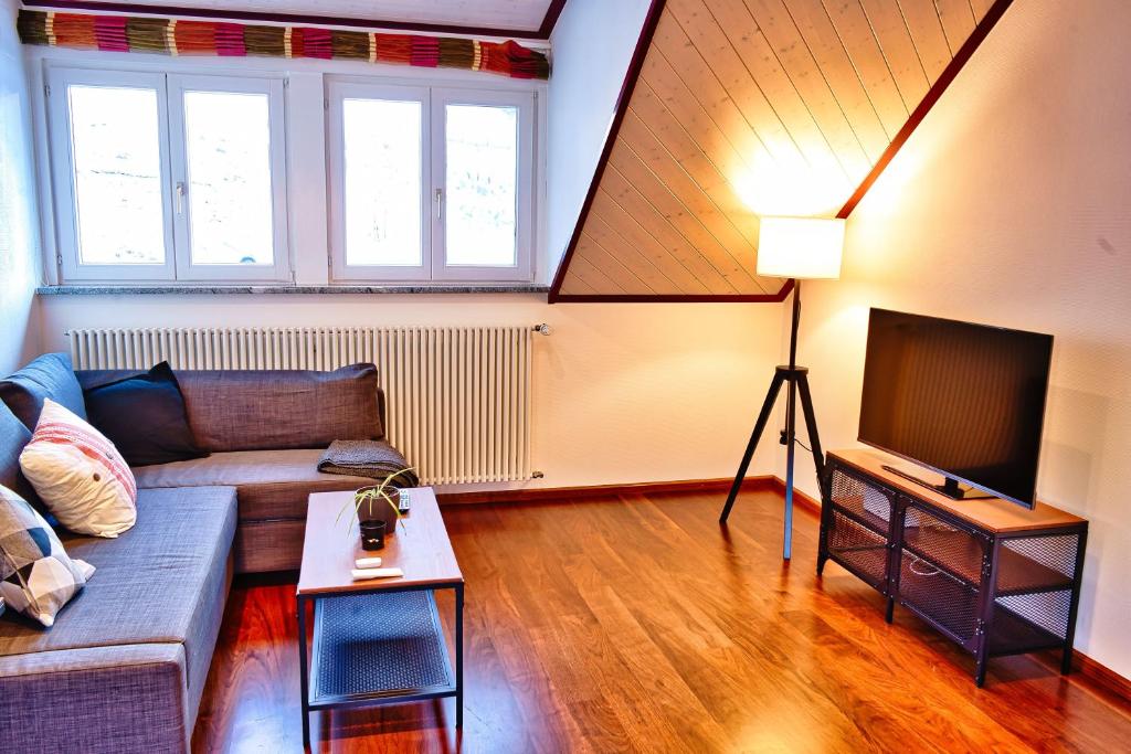 a living room with a couch and a tv at Charmante Ferienwohnung im Herzen Neuenwegs in Kleines Wiesental