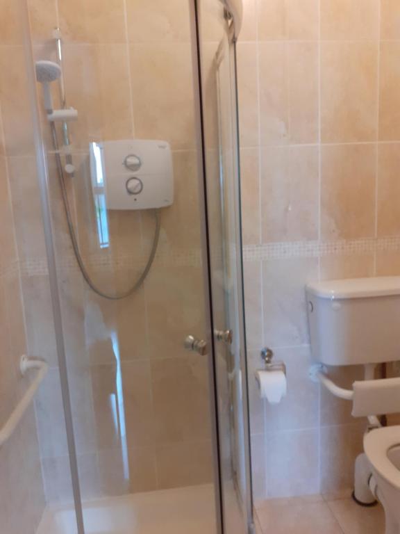 a bathroom with a shower and a toilet at Killooley Lodge in Tullamore