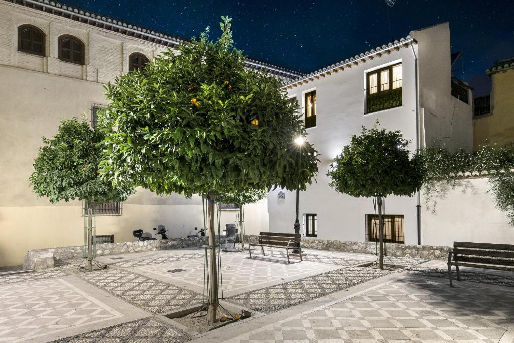 a tree in front of a building with two benches at Casa Naranjos de San Matías in Granada