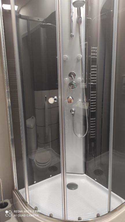e bagno con doccia in vetro e servizi igienici. di Apartmán na Šumavě a Vimperk
