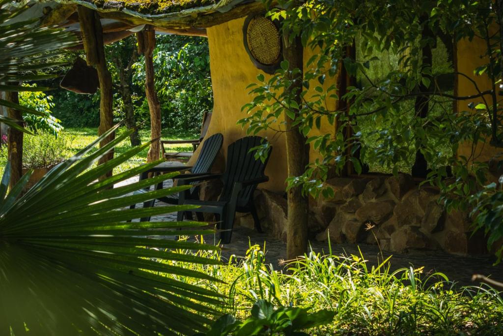 un grupo de sillas sentadas en un jardín en Killa Sumaj casas en Vaqueros