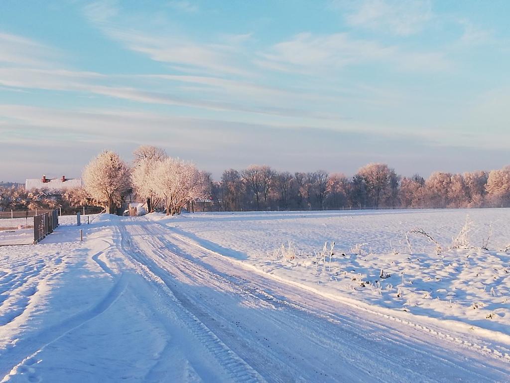 Jurtowe Wzgórze Glamping v zimě
