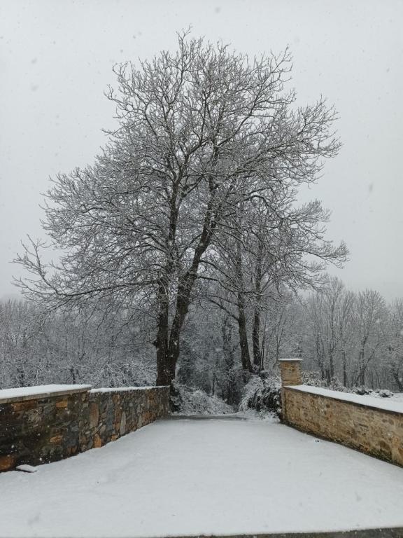 Casa Os Prados da Albela during the winter