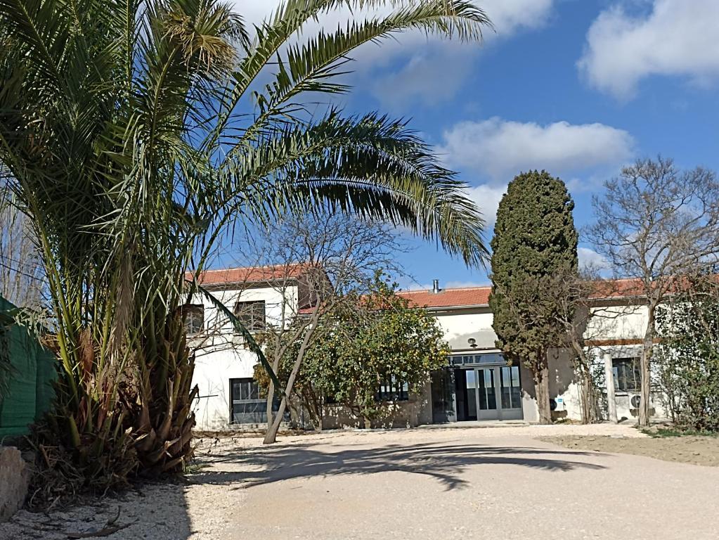 a building with two palm trees in front of it at Grande maison de vacances in Perpignan