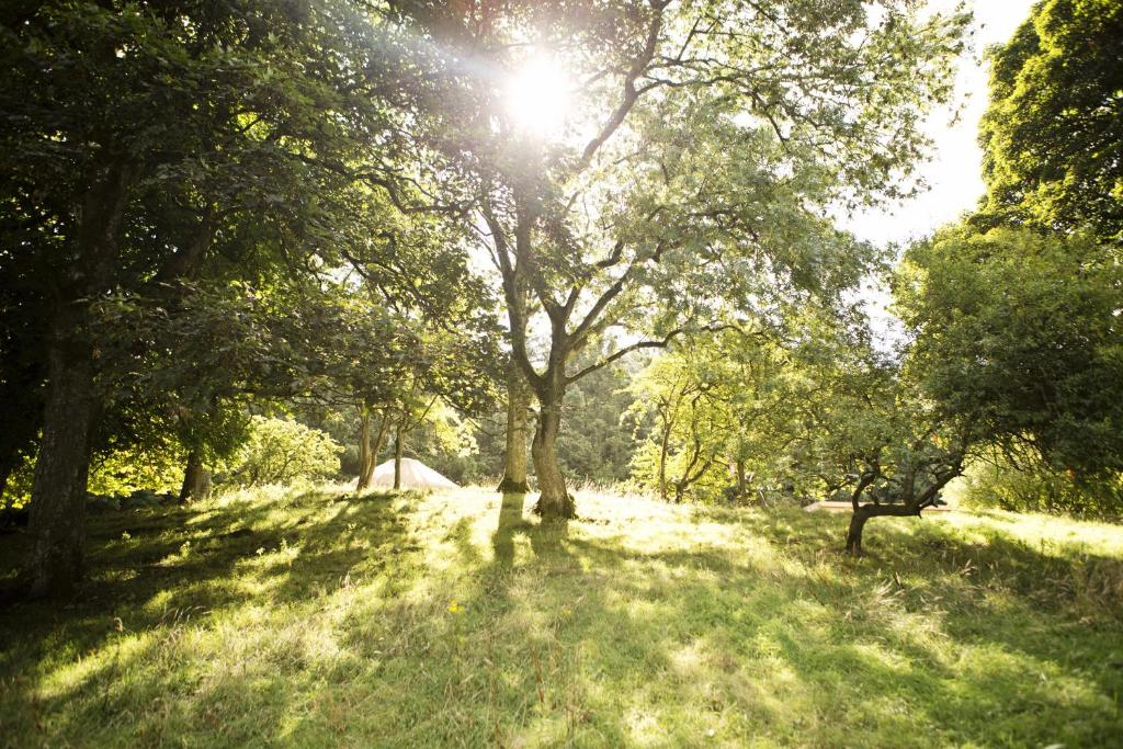 Paesaggio naturale nelle vicinanze di questo campeggio di lusso
