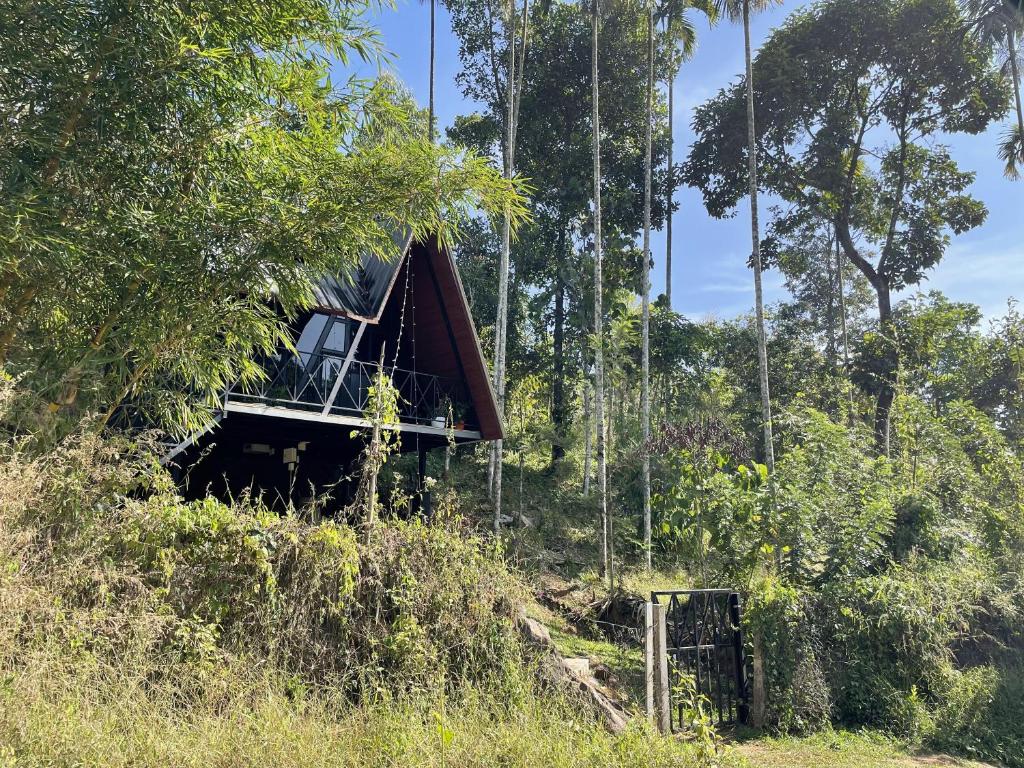 a house in the middle of a forest at Wetlands Wayanad Resort with Natural Waterfalls in Padinjarathara