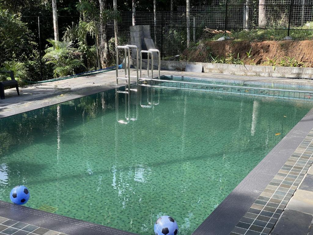 Bazén v ubytování Wetlands Wayanad Pool Resort with Natural Waterfalls nebo v jeho okolí