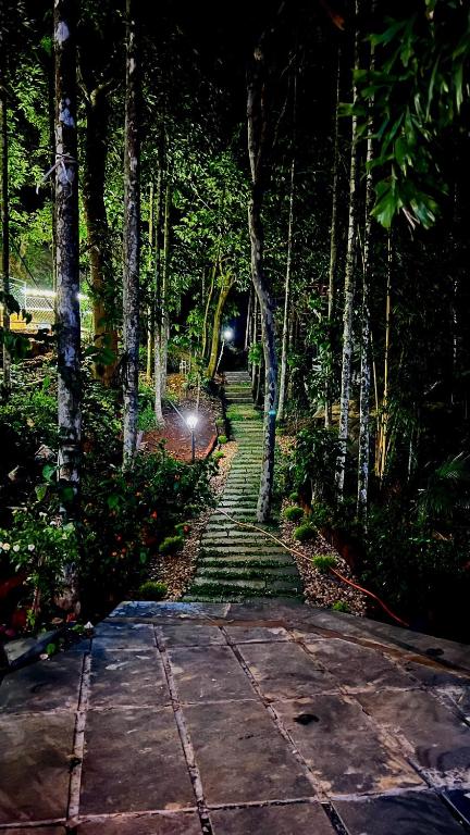 Zahrada ubytování Wetlands Wayanad Pool Resort with Natural Waterfalls