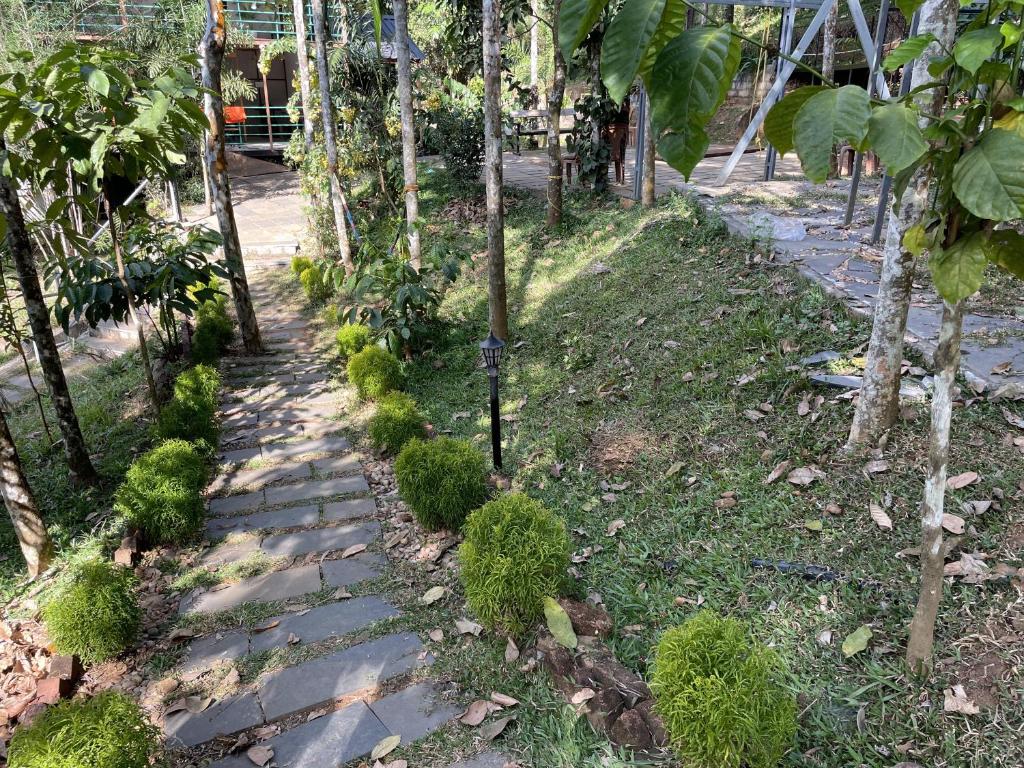 Zahrada ubytování Wetlands Wayanad Pool Resort with Natural Waterfalls