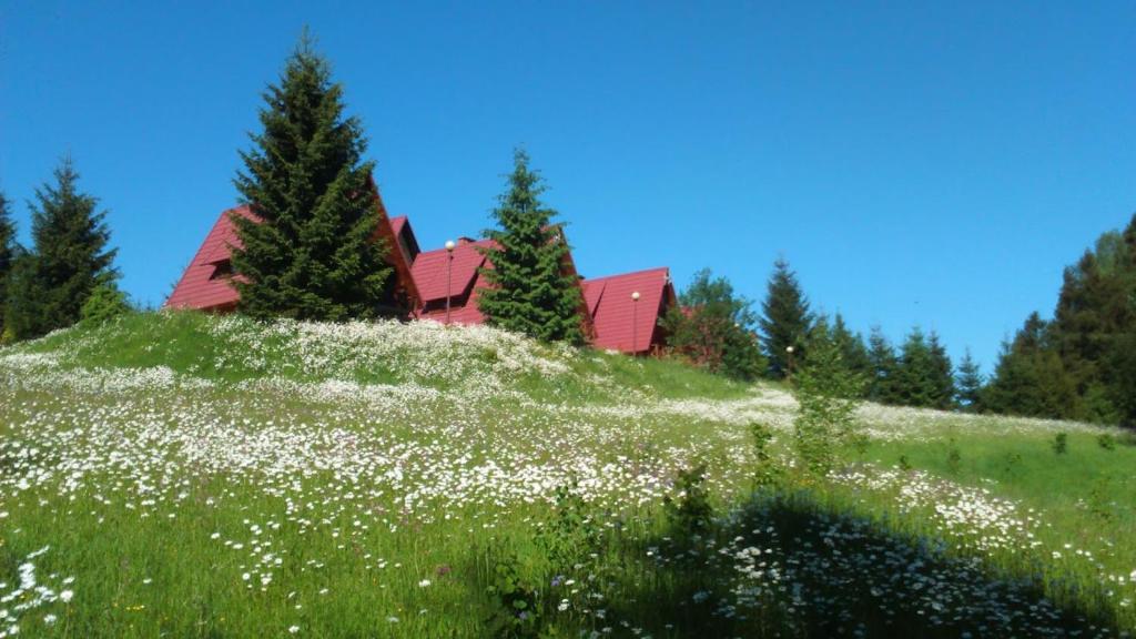 Domki Bieszczady Siedlisko Harenda - Chalet
