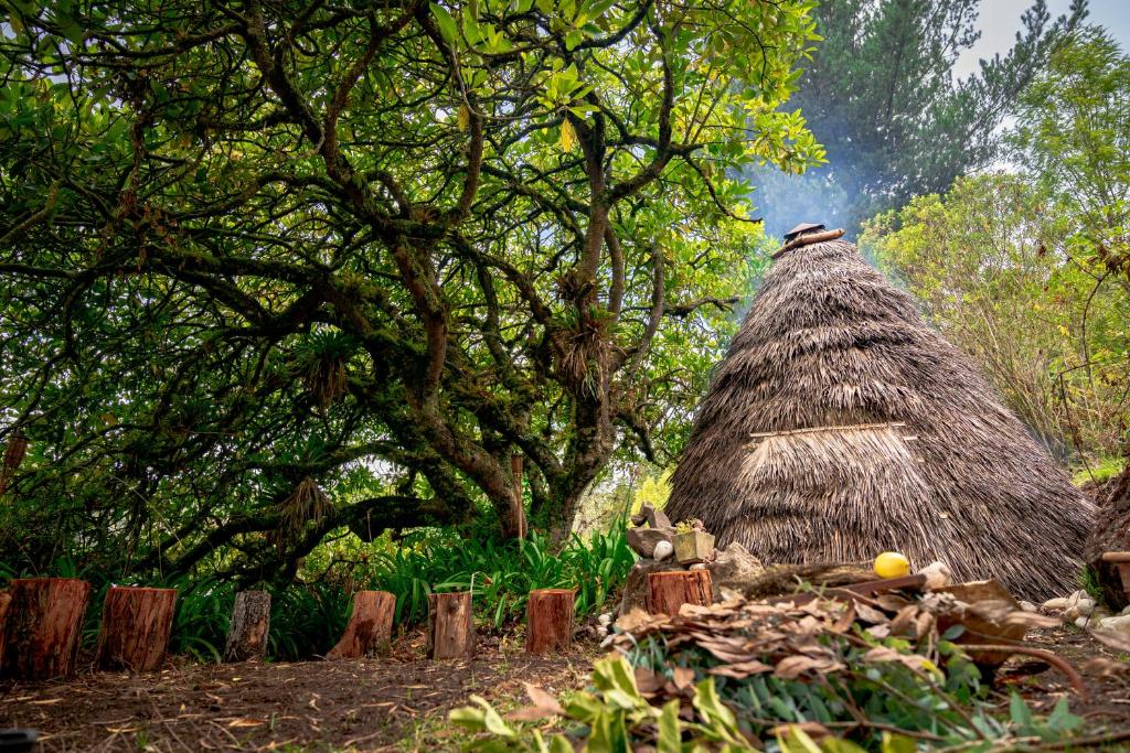 Zahrada ubytování Nalanda Casa de Montaña