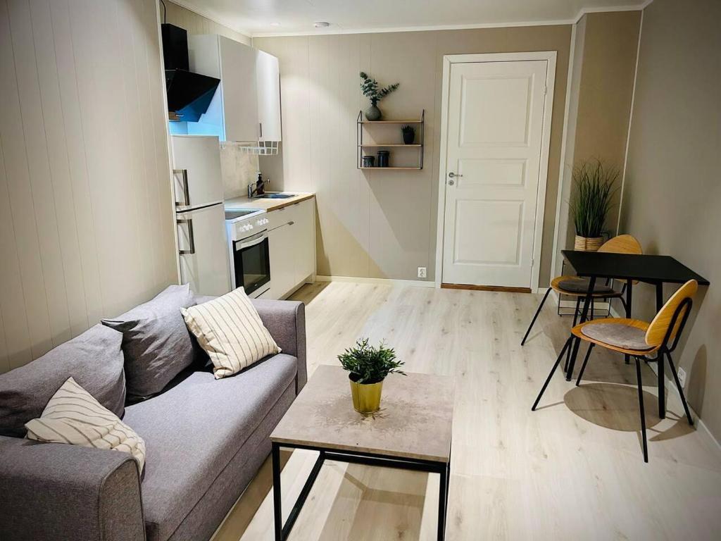 Brand new and private studio apartment! - Studio