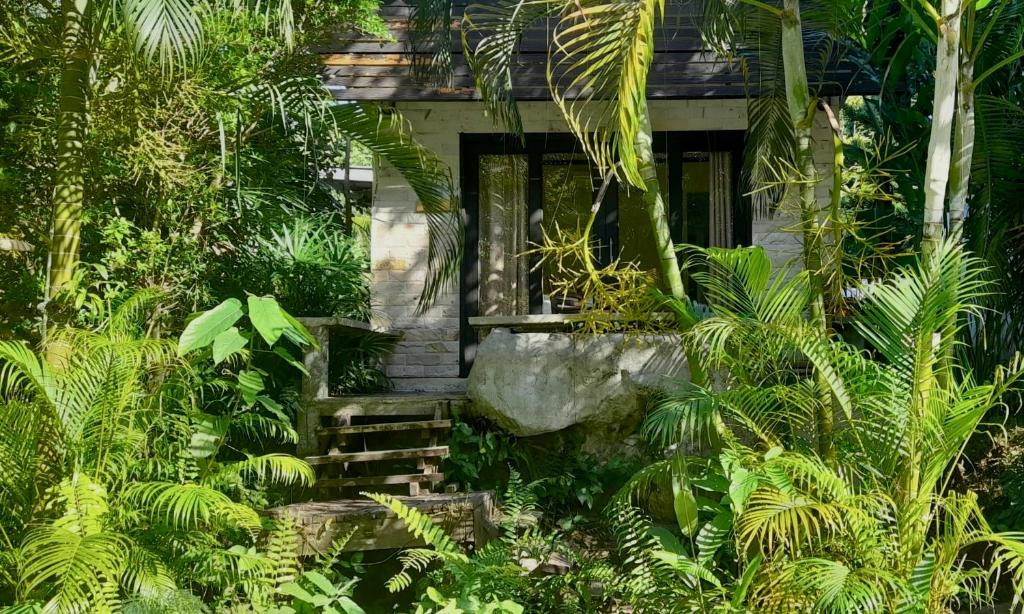 une maison au milieu d'une jungle avec des arbres dans l'établissement Wave-F, à Ko Kood