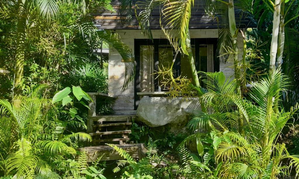 a house in the middle of a jungle with trees at Wave-F in Ko Kood