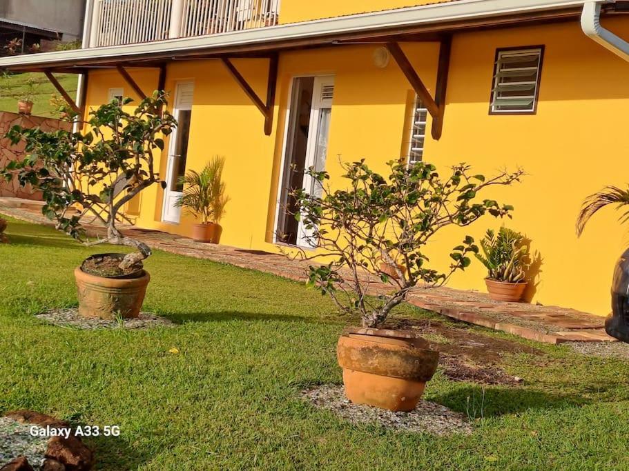 Zahrada ubytování appartement entier en Martinique Le Khan