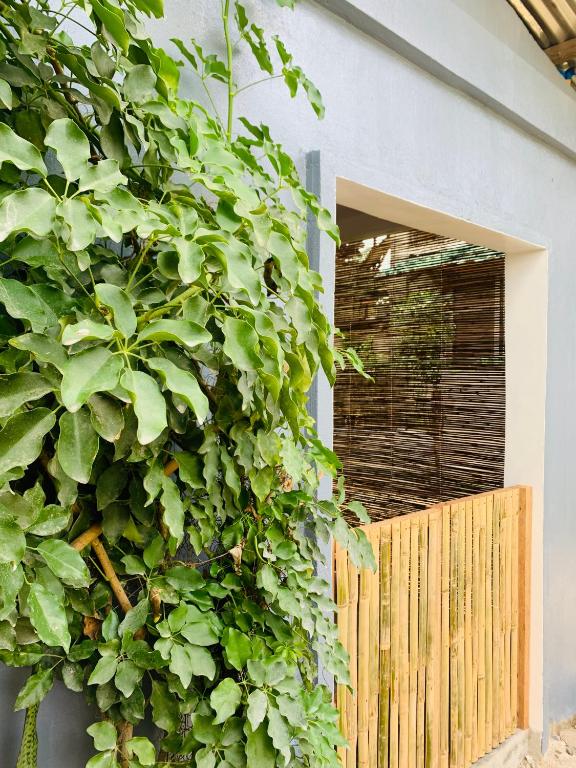 Fotografie z fotogalerie ubytování Jaydy hostel v destinaci General Luna