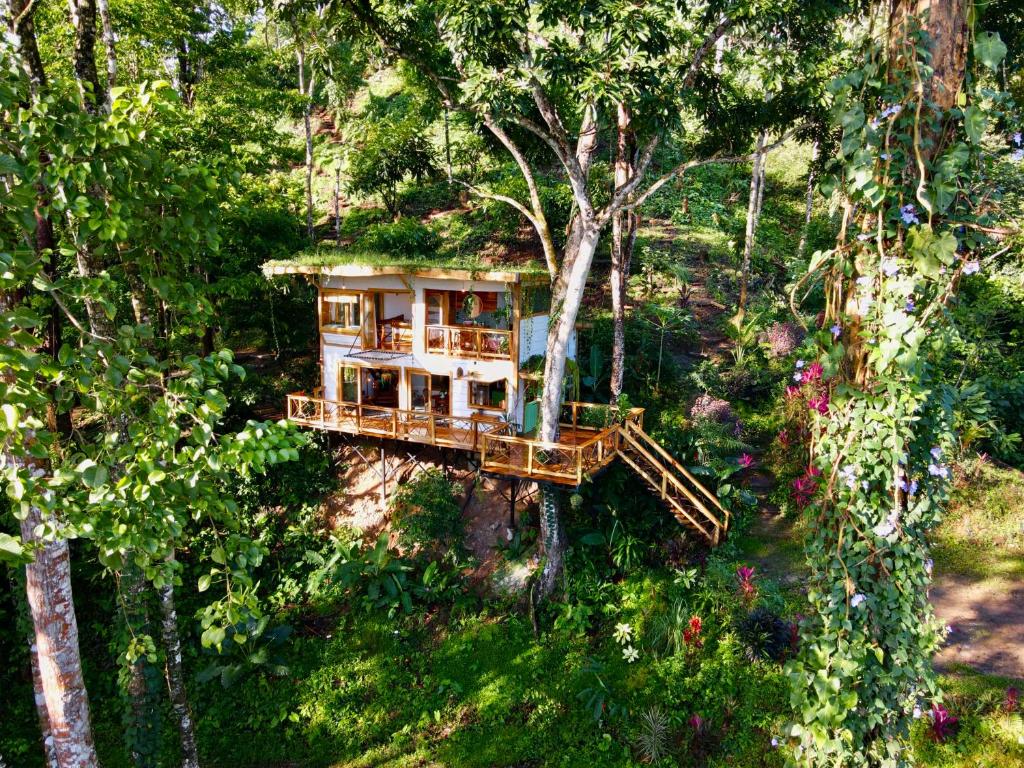 una casa en el árbol en medio de un bosque en Jungle Spirit Treehouse, en Cahuita