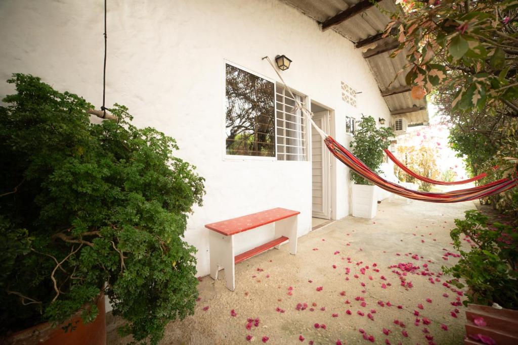 Zahrada ubytování Hostal del Mar - Tolu