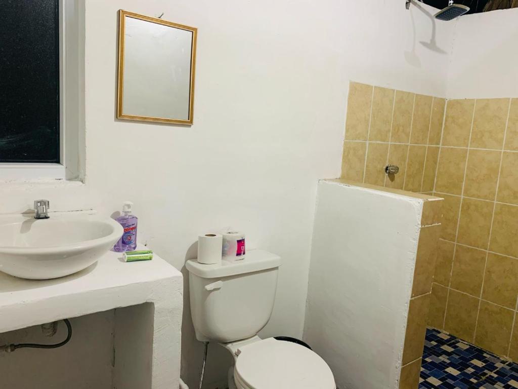 a bathroom with a toilet and a sink and a mirror at Cuarto Palma in El Paredón Buena Vista